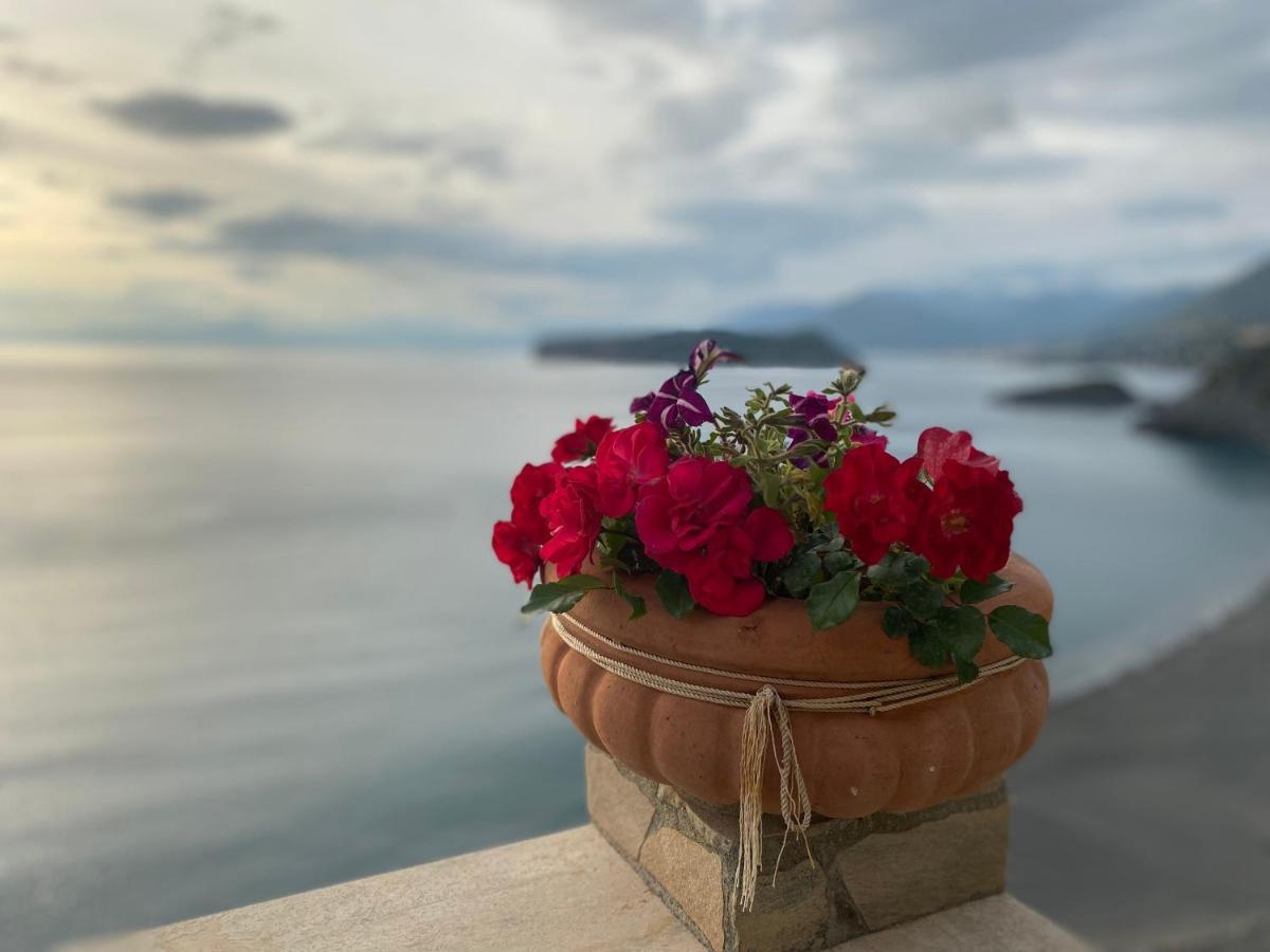 B&B Villa La Petra San Nicola Arcella Exteriér fotografie