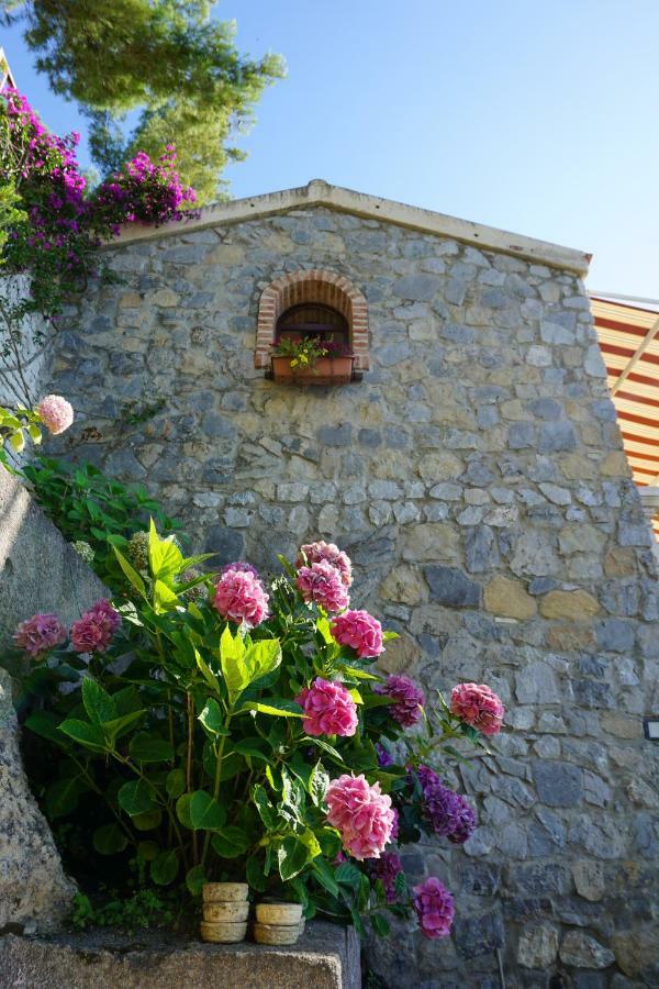 B&B Villa La Petra San Nicola Arcella Exteriér fotografie